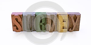 Survey Word Block on White Background