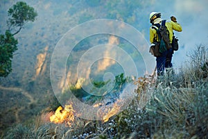 Surveying the damage. fire fighters combating a wild fire.