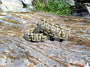 Survival Bracelets