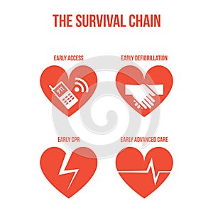 The survival chain