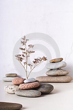 Survival concept dried flower growing from stones vertical view