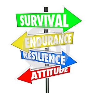 Survival Endurance Resilience Attitude road signs arrows direction