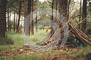 Survival hut made of branches photo