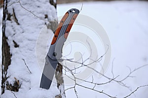 Survival knife stuck in tree stump in winter snow covered forest.