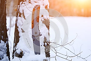 Survival knife stuck in tree stump in winter snow covered forest.