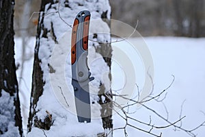 Survival knife stuck in tree stump in winter snow covered forest.