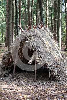 Survival Shelter