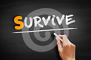 Survive text on blackboard