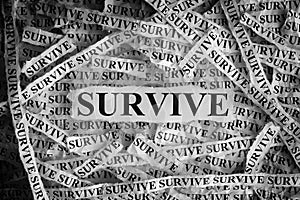 Survive. Torn pieces of paper with the word Survive photo