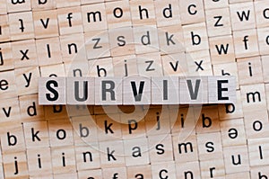 Survive word concept