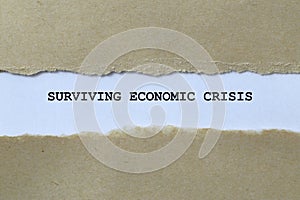 surviving economic crisis on white paper