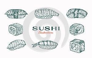 Sushi Abstract Vector Illustration. Hand Drawn Asian Food Sashimi Rise with Shrimp Tail, Salmon Fish Rolls Sketch