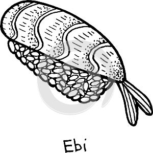 Sushi Ebi - sketch illustration. Nigiri with the shrimp and rice. Japanese seafood. Vector illustration