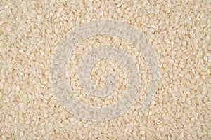 Sushi rice texture - grains of raw rice for sushi