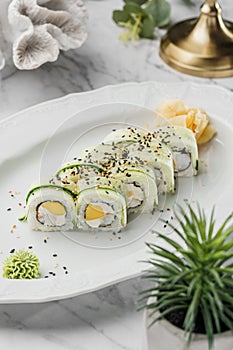 Sushi roll set with cucumber, avocado, cheese ,seasame and shrimps  in the white plate on light marble background. Healthy sea