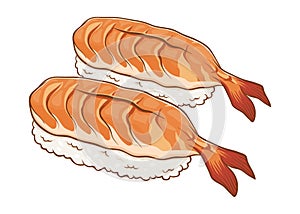 Sushi Shrimp Ebi Nigiri Illustration
