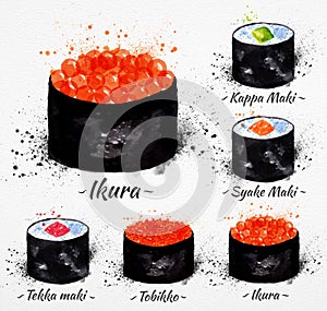 Sushi watercolor Maki