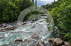The Susitna River Runs Wild Through the Forest North of Palmer, Alaska