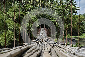 Suspended bamboo floored bridge leading to the jungle in the Philippines