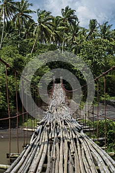 Suspended bamboo floored bridge leading to the jungle in the Philippines