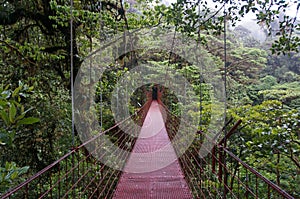Suspended Bridge at Monteverde