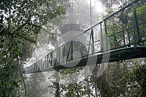 Suspended Bridge at Monteverde