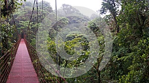 Suspended Bridge at Monteverde