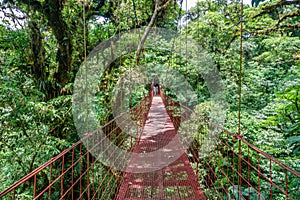 Suspended Bridge at Monteverde Cloud Forest, Costa Rica
