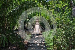 Suspended bridge at natural rainforest park, Drake Bay Costa Rica