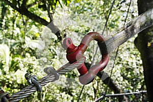 Suspended bridges at top of the trees in Parc Des Mamelles, Guadeloupe Zoo, in the middle of the rainforest on Chemin de la photo