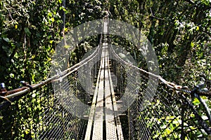 Suspended bridges at top of the trees in Parc Des Mamelles, Guadeloupe Zoo, in the middle of the rainforest on Chemin de la photo