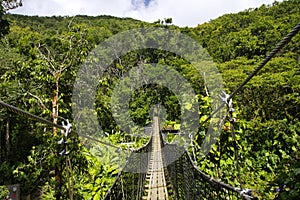 Suspended bridges at top of the trees in Parc Des Mamelles, Guadeloupe Zoo, in the middle of the rainforest on Chemin de la photo