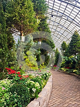 Suspended Christmas Trees in Garfield Park Conservatory