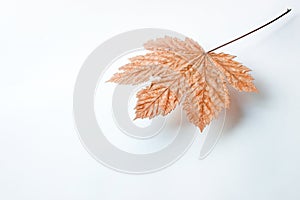 Suspended leaf