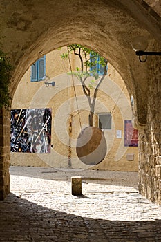 Suspended orange tree in Jaffa