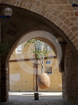 The suspended orange tree. Yaffo, Israel