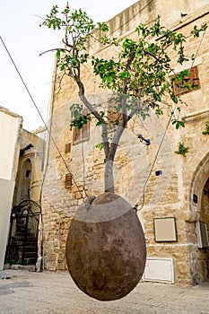 Suspended Orange Tree in Yafo, Israel