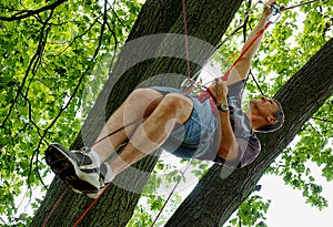 Suspended from ropes in a Tree photo