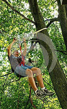 Suspended from ropes in a Tree photo