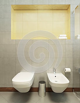Suspended toilet and bidet on the wall tiles in gray.