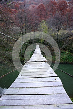 Suspended wire bridge photo