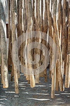 Suspended wooden trunks