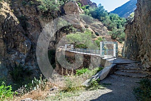 Suspension bridge