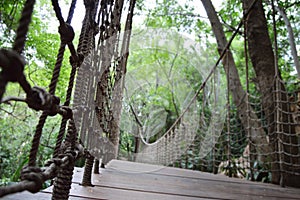 Suspension Bridge