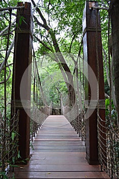 Suspension Bridge