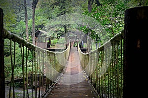 Suspension bridge