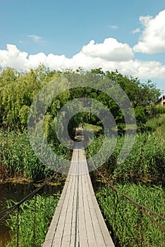 Suspension bridge