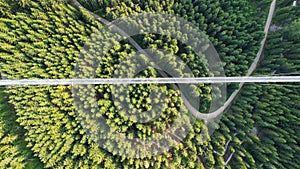 Suspension Bridge Above Dense Evergreen Forest Seen from the Sky photo