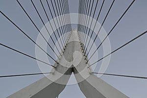 Suspension Bridge Amsterdam