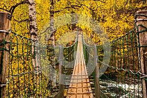 The suspension bridge in autumn forest, Oulanka national park, Finland
